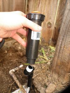 a sprinkler head replacement in Roseville